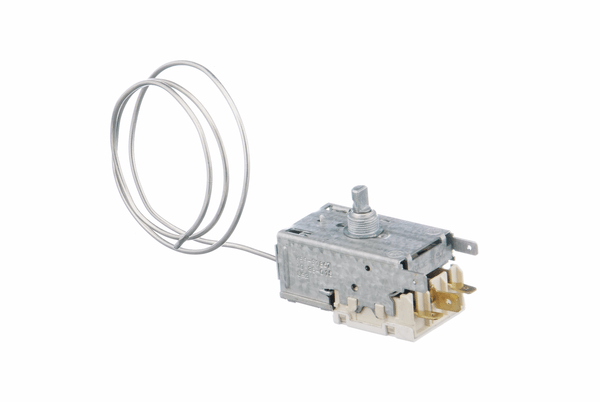 00169024 Termostat