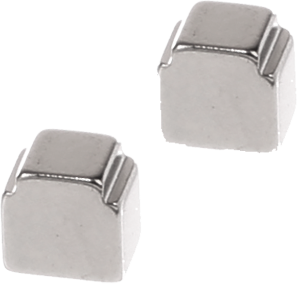 10003753 Magnet